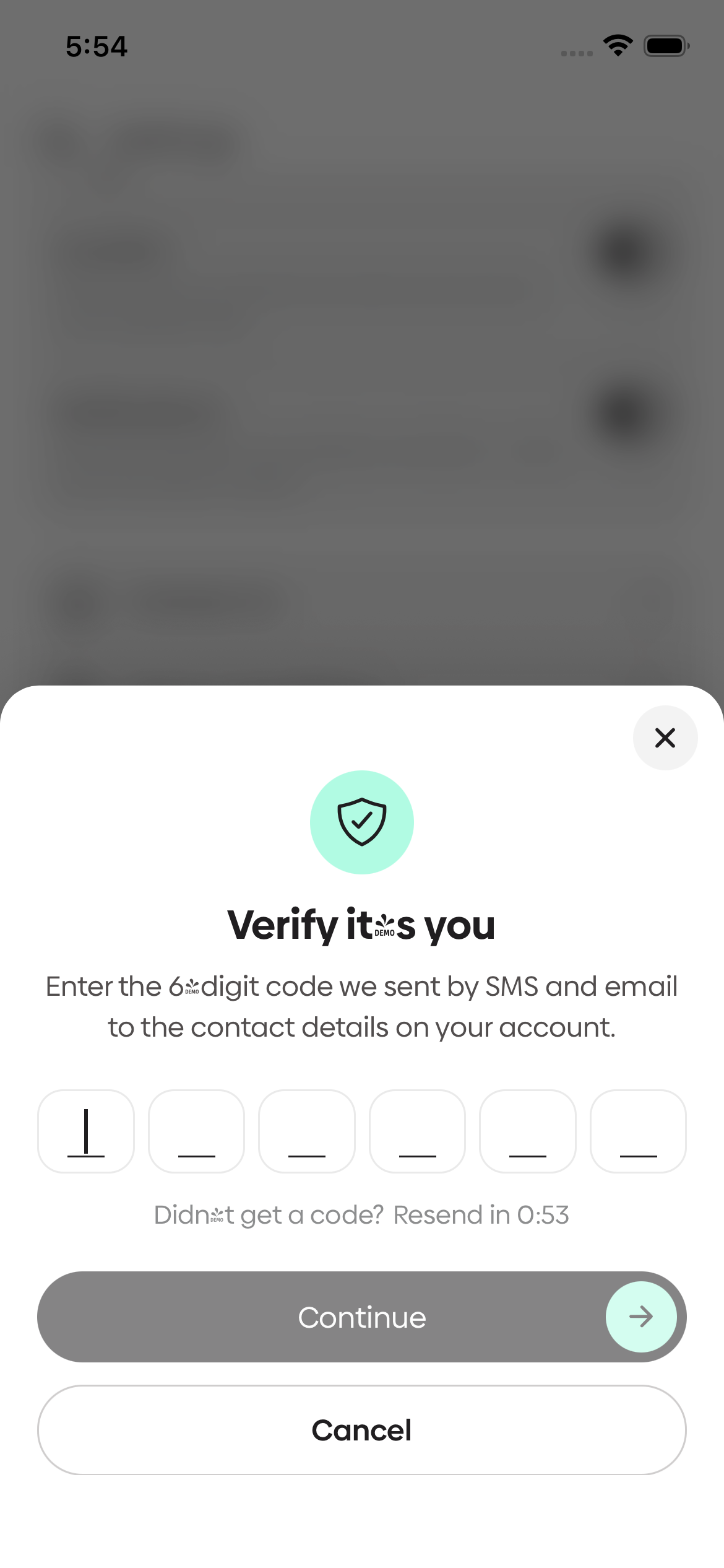Hopn Navigator Driver app identity verification screen